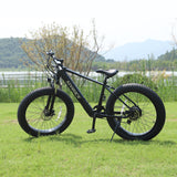 1000W Motor 48V 15Ah Professional Ebike - Trails and Roads